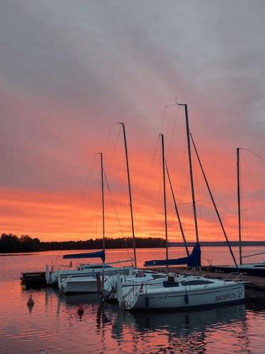 a group of boats docked at a marina at sunset at Klimatyczne mieszkanie w krainie jezior in Biskupiec