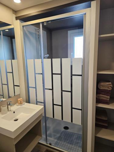 une salle de bain avec une douche en verre et un lavabo dans l'établissement Chalet avec piscine, climatisation & vue de 2 à 6 personnes - Hasparren - Pays Basque - Chalet Ibaia, à Hasparren