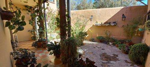 une chambre avec une bande de plantes en pot au sol dans l'établissement Santa Lucia, à Tilcara