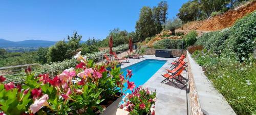 a swimming pool in a garden with flowers at Les Hauts du Peireguier in La Motte