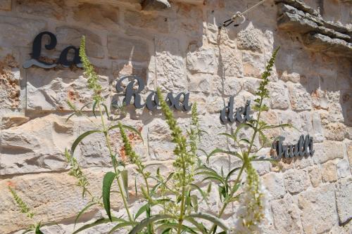 Fotografia z galérie ubytovania La Rosa dei Trulli B&B v destinácii Alberobello