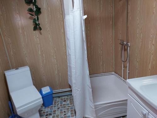 a bathroom with a shower with a toilet and a sink at Hostel.Uz in Samarkand