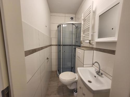 a bathroom with a toilet and a shower and a sink at Jelinski Beherbergungsstätten Ostingersleben in Ostingersleben