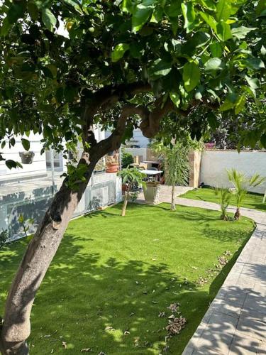 Taman di luar LaMarticata-LikesHome Garden