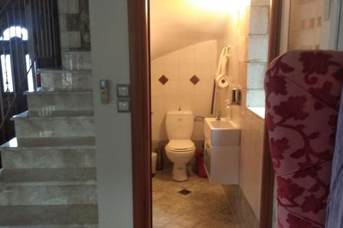 a bathroom with a toilet and a sink and stairs at Βίλλα Τρία Ποτάμια καταρράχτες ΝΈΔΑ 