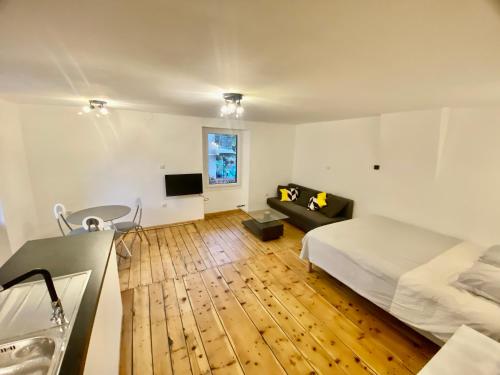 ein Schlafzimmer mit einem Bett, einem Sofa und einem TV in der Unterkunft Grand studio classé 4 étoiles avec jardin et garage vélo, moto in Briançon