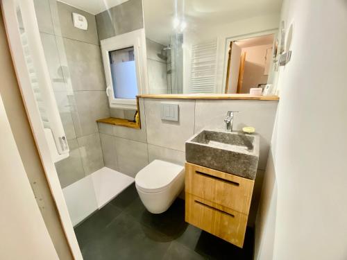 ein kleines Bad mit WC und Waschbecken in der Unterkunft Grand studio classé 4 étoiles avec jardin et garage vélo, moto in Briançon