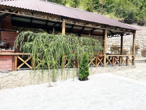 Green Paradise Guest House – Photos 2