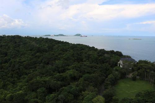 an aerial view of a tree covered island in the ocean at 08B Luxury Oceanfront Resort Lifestyle Panama in ArraijÃ¡n