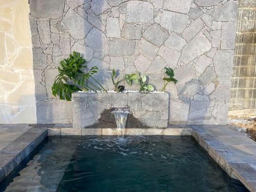 a fountain in a stone wall with a pool of water at Cocoon Love avec piscine privative in Saint-Louis