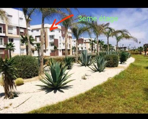 a group of palm trees and plants on a sidewalk at perle de bouznika 15min walking to the beach plus free unlimited WiFi in Bouznika
