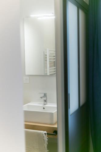 une salle de bain avec un lavabo et un miroir dans l'établissement Mc Guigan's appart hôtel appartement, à Brest