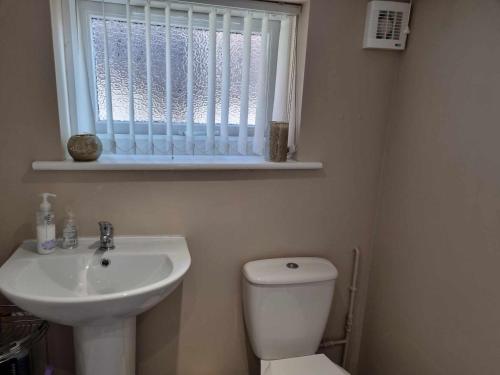 baño con lavabo y aseo y ventana en Ann's Garden flat, en Deganwy