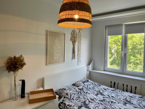 1 dormitorio con cama y lámpara de araña en Na rogu 47, en Olsztyn