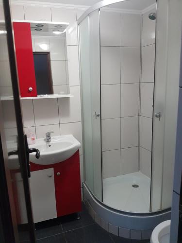 La salle de bains est pourvue d'une douche et d'un lavabo. dans l'établissement Casa Simona, à Botiz