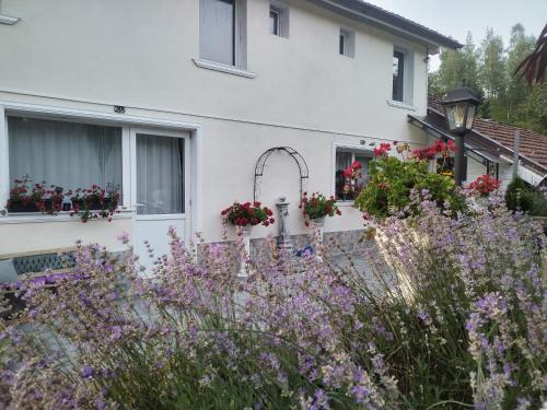 a white house with flowers in front of it at Villa Monica in Lupeni