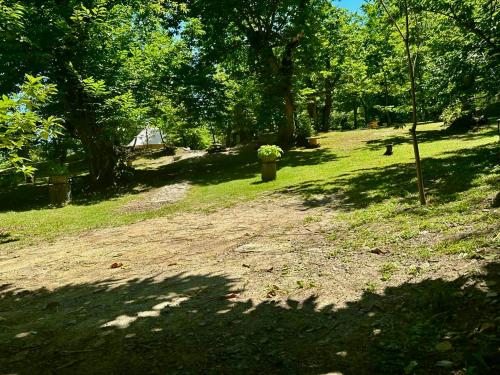 a dirt road in a park with trees and a field at Il Bosco di Paolo - Glamping in Sestola