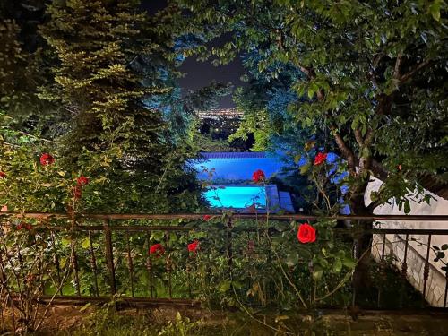 a garden with red flowers and a fence at Vila Belashtitsa in Belashtitsa