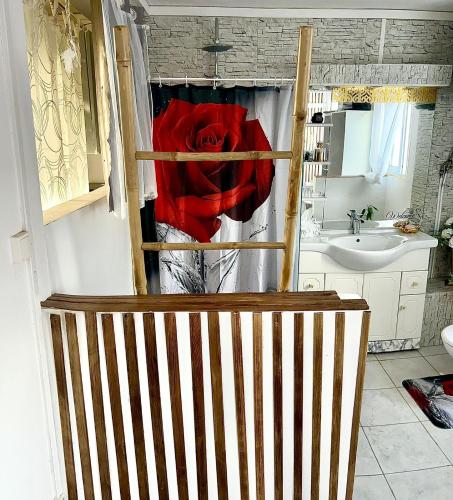 uma rosa vermelha num chuveiro na casa de banho em La suite parentale em Basse-Terre