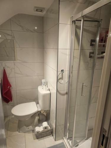 a bathroom with a toilet and a shower at Ruby Residences in Foots Cray