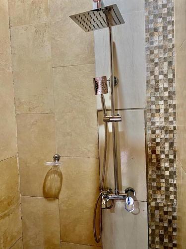 a shower with a shower head in a bathroom at Hotel Amayal in Puerto Iguazú