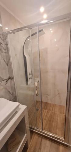 a shower with a glass door in a bathroom at Z Elegant Studios in Perea