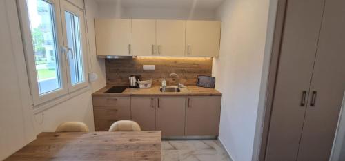 a kitchen with a sink and a wooden table at Z Elegant Studios in Perea