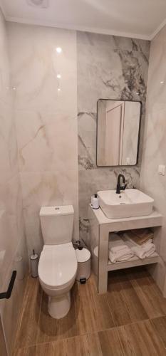 a bathroom with a toilet and a sink and a mirror at Z Elegant Studios in Perea
