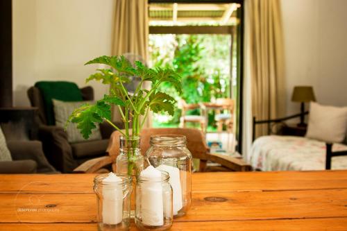 a table with jars and a plant in a living room at Newstead Farm - Country Cottages in Curryʼs Post