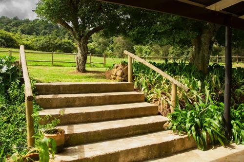 a set of stairs with two dogs sitting on the grass at Newstead Farm - Country Cottages in Curryʼs Post