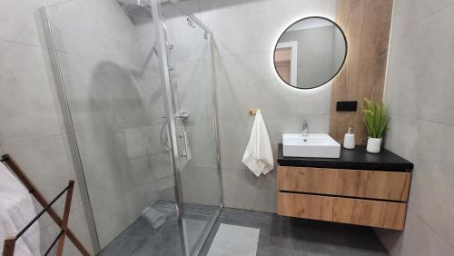 a bathroom with a shower and a sink and a mirror at Apartament Emerald in Zator