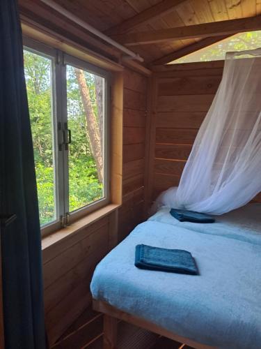 Cama en una cabaña de madera con ventana en Boomhut, en Rijsbergen