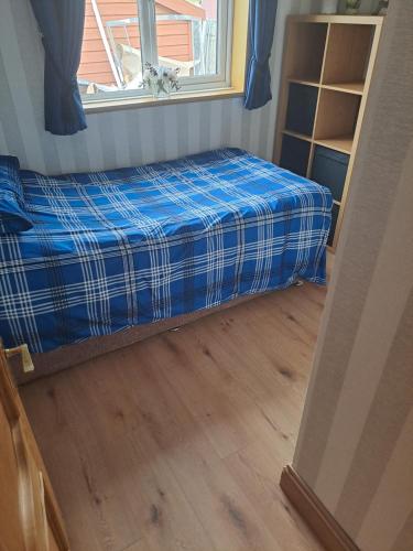 małe łóżko w pokoju z oknem w obiekcie Willows Retreat w Dublinie
