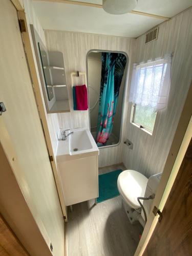 a small bathroom with a sink and a toilet at Dulczetto Camp in Jastarnia