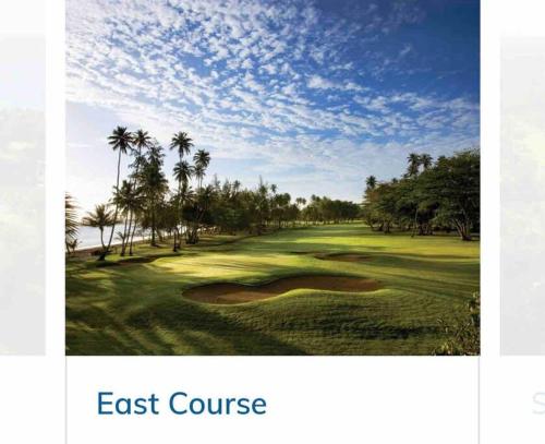 a picture of a golf course with palm trees at Ultimate Beach Getaway, Luxury villa in Ritz-Carlton, Dorado 5 mins to Beach in Dorado