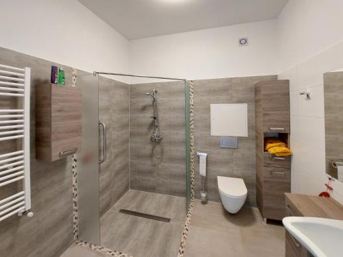 a bathroom with a shower with a toilet and a sink at Wesendorf Residenz Premium Lounge in Wesendorf