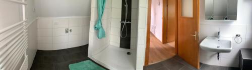 a bathroom with a shower with a sink and a toilet at Ferienwohnung Herborn in Herborn
