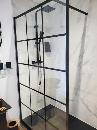 a shower with glass shelves in a bathroom at Chambre d'Hôte Straboni in Bastia