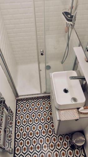 une salle de bain avec un lavabo et une douche dans l'établissement Bel appartement à Paris, à Paris