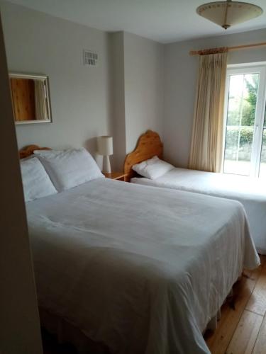 a bedroom with two beds and a window at Parnell house in Ennis