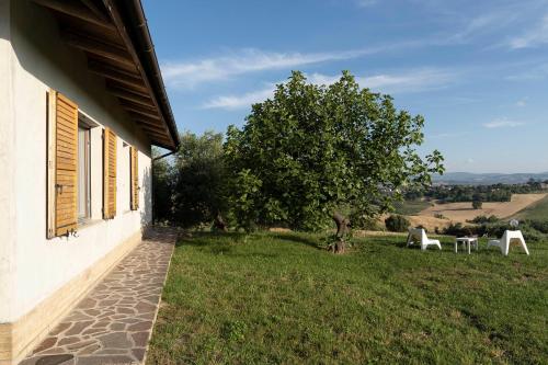 a house with two chairs and a tree in a field at B&B La Figuretta in Iesi