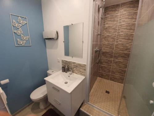 La salle de bains est pourvue de toilettes, d'un lavabo et d'une douche. dans l'établissement Résidence de l'évèché 7, à Limoges