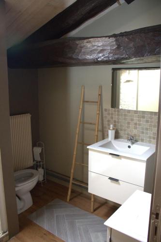 une salle de bain avec un lavabo et des toilettes dans l'établissement Gites la Marquise, à La Charrière