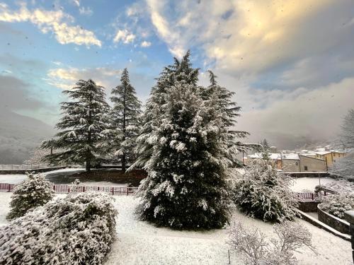 a group of trees covered in snow at Villa Belvedere di Popiglio in Popiglio
