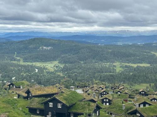 a group of houses with grass roofs on a hill at Leilighet i vakre Rauland in Rauland