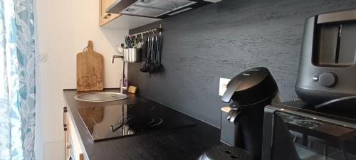 a small kitchen with a sink and a counter with a sink at L'Escapade Cévenole in Le Collet-de-Dèze
