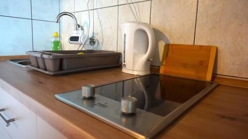 eine Küchentheke mit einem Waschbecken und einem Waschbecken in der Unterkunft Studio apartman "DJED" in Hrvatska Kostajnica