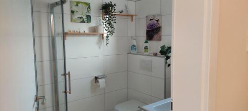 biała łazienka z prysznicem i toaletą w obiekcie Haus-im-Gruenen-Thermenregion-bei-Kaindorf-bei-Hartberg-Stubenbergsee w mieście Kaindorf