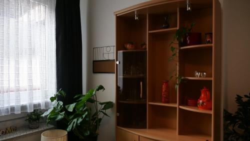 een grote houten boekenplank in een kamer met een plant bij Kleine Altstadt Oase in Bernkastel-Kues