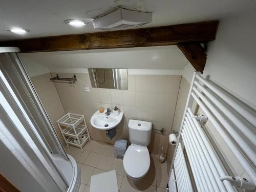 a small bathroom with a toilet and a sink at Penzion Za potokem in Nová Pec